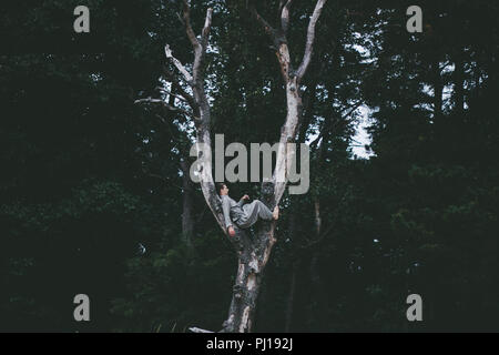 Man bewegt sich in der Natur Wald Stockfoto