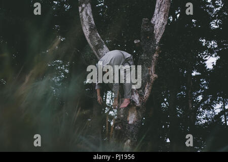 Man bewegt sich in der Natur Wald Stockfoto