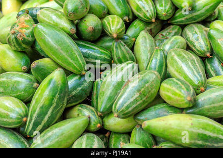 Indische pflanzliche-Pointed Kürbis Es ist oft grünen Kartoffel genannt. Stockfoto