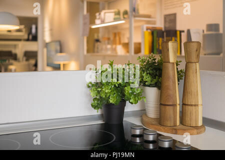 Moderne offene Küche mit Wohnbereich Stockfoto