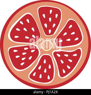 Vector Illustration in einem abgetrennten, runde Scheibe von Zitrusfrüchten Grapefruit, Pampelmuse Stock Vektor