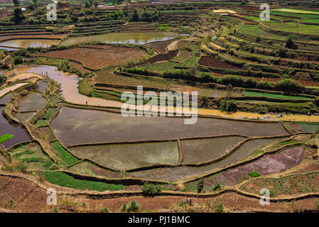 Terraced Rice Fields, Vakinancaratra Betafo, Region, Madagaskar Stockfoto