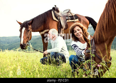 Ein älteres Paar hält Pferde grasen auf der Weide. Stockfoto