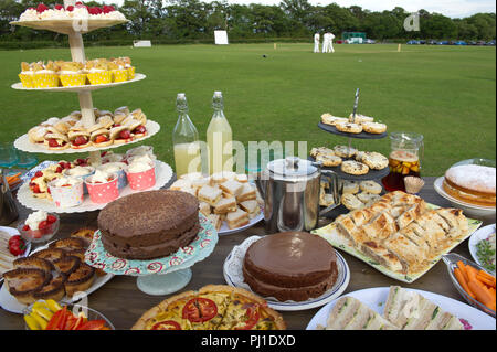 Kricket Tees. Bischof Thornton V Knaresborough Wald am Bishop Thornton, Yorkshire. Stockfoto