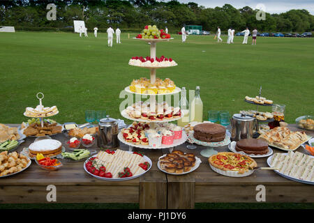 Kricket Tees. Bischof Thornton V Knaresborough Wald am Bishop Thornton, Yorkshire. Stockfoto