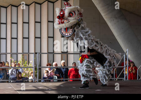 BERLIN, 15. APRIL 2018: Sakura Blüte Tag. Park "Gärten der Welt" (Gaerten der Welt"). Dragon dance. Traditionelle Chinesische Kunst. Stockfoto