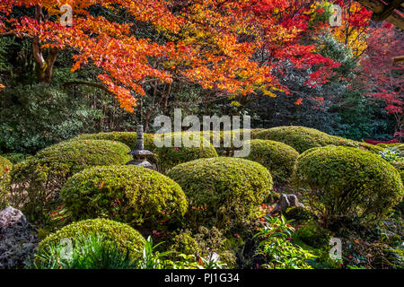 Herbst Besuch in Shisen-Tempel (Haus der Dichter), Kyoto, Japan Stockfoto