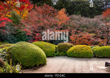 Herbst Besuch in Shisen-Tempel (Haus der Dichter), Kyoto, Japan Stockfoto