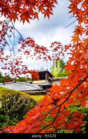 Herbst Besuch in Shisen-Tempel (Haus der Dichter), Kyoto, Japan Stockfoto