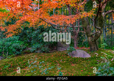 Herbst Besuch in Shisen-Tempel (Haus der Dichter), Kyoto, Japan Stockfoto