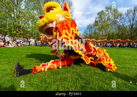 BERLIN, 15. APRIL 2018: Sakura Blüte Tag. Park "Gärten der Welt" (Gaerten der Welt"). Dragon dance. Traditionelle Chinesische Kunst. Stockfoto