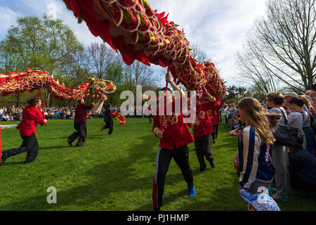 BERLIN, 15. APRIL 2018: Sakura Blüte Tag. Park "Gärten der Welt" (Gaerten der Welt"). Dragon dance. Traditionelle Chinesische Kunst. Stockfoto