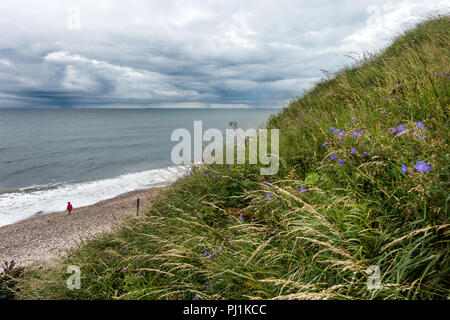 Seaham Hall Beach, County Durham, UK Stockfoto