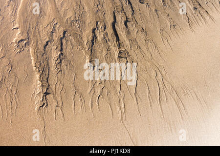 Sand Muster in Seaham Hall Beach, Durham, Großbritannien Stockfoto