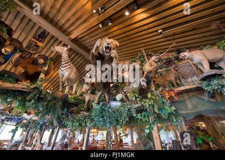 Clarks Fish Camp ist eine einzigartige und rustikalen Fischrestaurant auf Julington Creek, einem Nebenfluss des St. Johns River in Jacksonville, Florida. Stockfoto