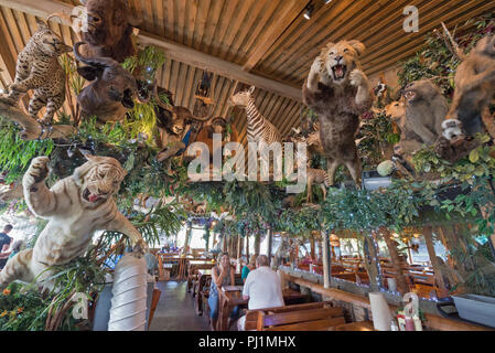 Clarks Fish Camp ist eine einzigartige und rustikalen Fischrestaurant auf Julington Creek, einem Nebenfluss des St. Johns River in Jacksonville, Florida. Stockfoto