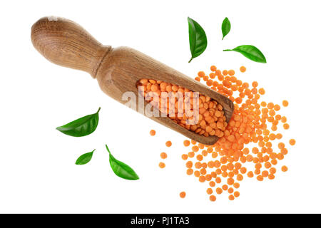 Haufen rohe rote Linsen in Holz- Schaufel mit grünen Blättern auf weißem Hintergrund eingerichtet. Stockfoto