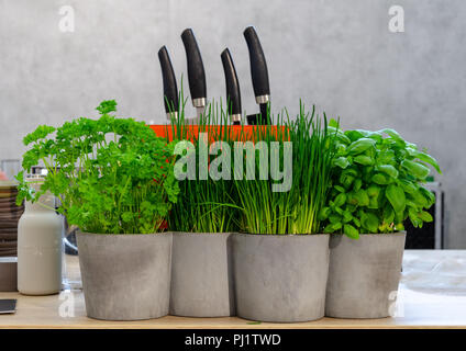 Frische Kräuter und die Messer auf dem Tisch vor grauem Hintergrund Stockfoto