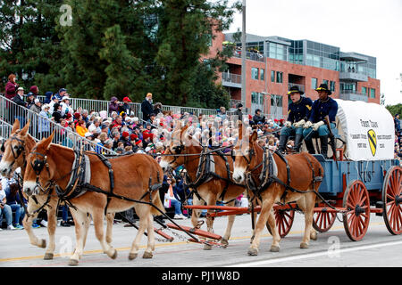 Von Pferden gezogene Wagen der United States Army, 1.Kavallerie von Fort Hood, Texas, Turnier 2017 von Roses Parade, Rose Parade, Pasadena, Kalifornien, Vereinigte Staaten von Amerika Stockfoto