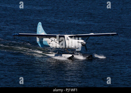 De Havilland Canada DHC-3 T Otter (C-GHAS) von Hafen, die mit dem Fliegen CO2-neutrale Farbgebung, den Hafen von Vancouver, Vancouver, British Columbia, Kanada betrieben Stockfoto