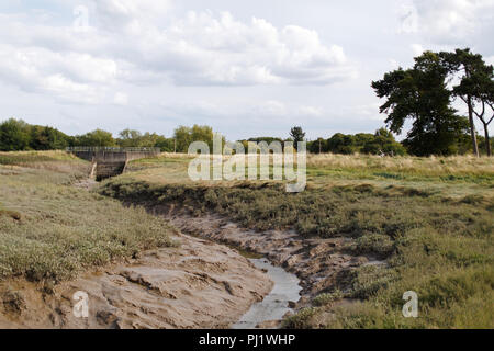 Die Pille in der Neuen Passage am Ufer des Flusses Severn/Severn Estuary in South Gloucestershire in der Nähe von Bristol Stockfoto