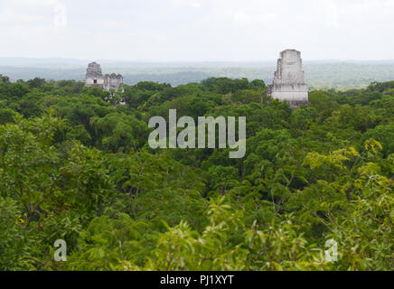 Tikal Tempel!, II, V erhebt sich aus dem Dschungel, Guatemala Stockfoto