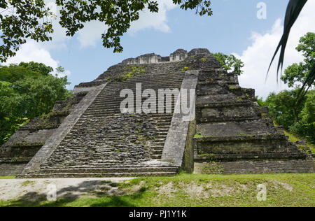 Tempel Talud Tablero, Tikal, Guatemala Maya Ruinen Stockfoto