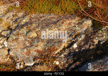 Bei Interesse an der St. Anthony Bight an der nördlichen Spitze von Neufundland, Kanada. Stockfoto