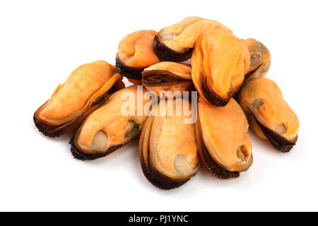 Muscheln ohne Schale auf weißem Hintergrund. Stockfoto