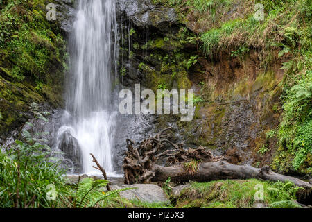 Pistyll Rhaeadr Wasserfall North Wales 3. September 2018: Wanderer entspannen Sie sich und genießen Sie eine von Mutter Natur Wunder an einem bewölkten Tag.. Clifford Norton Alamy Leben Nachrichten. Stockfoto