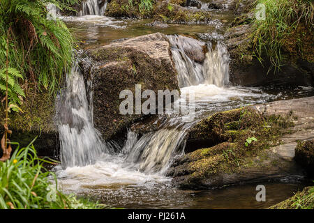 Pistyll Rhaeadr Wasserfall North Wales 3. September 2018: Wanderer entspannen Sie sich und genießen Sie eine von Mutter Natur Wunder an einem bewölkten Tag.. Clifford Norton Alamy Leben Nachrichten. Stockfoto