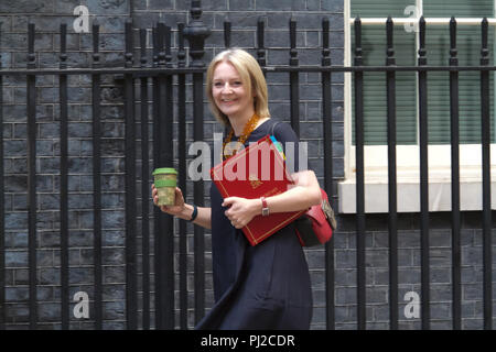London, UK, 4. September 2018, Chief Secretary, Schatzamt, Der Rt Hon Elizabeth Truss MP nimmt an ihrer ersten Kabinettssitzung nach der Sommerpause am 10 Downing Street, London. Credit: Keith Larby/Alamy leben Nachrichten Stockfoto
