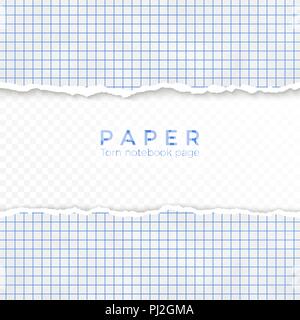 Zerrissenen Rand blau kariertem Papier. Abgerissene Stück kariertes Papier vom Notebook. Leere Seite isoliert auf Transparenten Hintergrund. Vector Illustration Stock Vektor