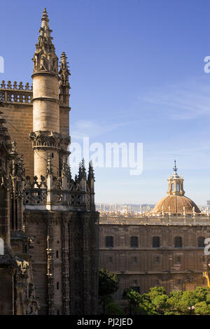 Fassade der Kathedrale von Sevilla und der Patio de Los Naranjos von Teil-Weg nach oben die Giralda Turm, Sevilla, Andalusien, Spanien Stockfoto