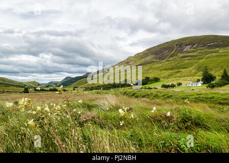 Das ist ein Bild von einer Wiese in einem Tal in Donegal Irland Stockfoto