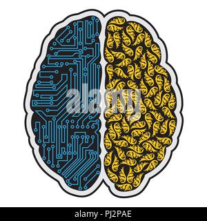 Linken und rechten Teil des menschlichen Gehirns Stock Vektor