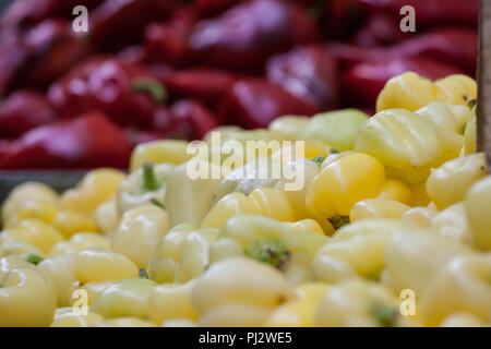 Rote und gelbe Paprika zum Verkauf auf einen Markt von Serbien. Paprikas sind ein pflanzlicher typisch aus der Serbischen und der Balkan Landwirtschaft, für dishe verwendet Stockfoto