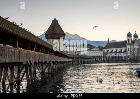 Luzerner Fußgängerbrücke Kapellbrücke oder Kapellbrücke und Wasserturm im Wasser, Schweiz. Stockfoto