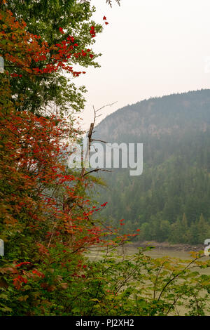 Herbstfarben in British Columbia, Kanada Stockfoto