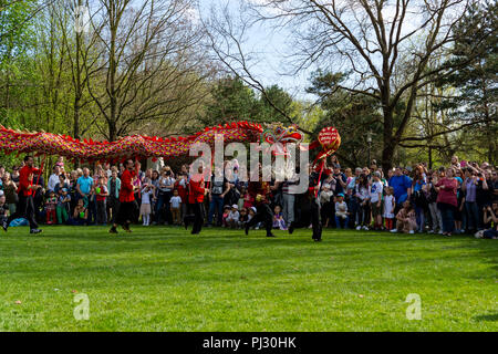 BERLIN, 15. APRIL 2018: Sakura Blüte Tag. Park "Gärten der Welt" (Gaerten der Welt"). Dragon dance. Traditionelle Chinesische Kunst. Stockfoto