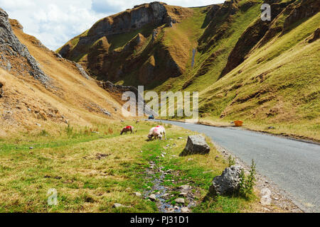 Winnats Pass, Peak District National Park, Derbyshire, England, Vereinigtes Königreich Stockfoto