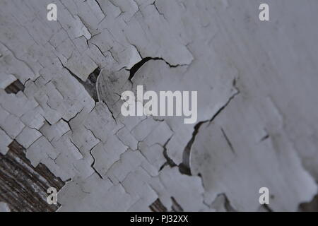 Alte Lackierung Peeling aus Holz Tür Stockfoto