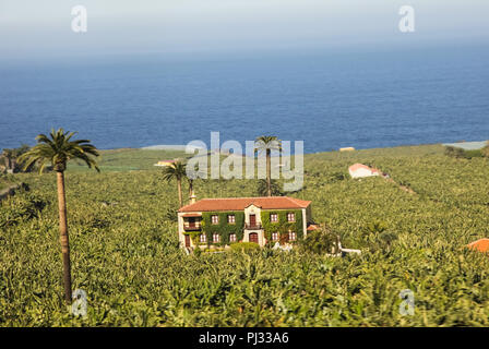 Die Inseln Teneriffa ist ein Ort für Touristen. Küste auf das Meer und die Hotels am Strand. Stockfoto