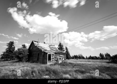 Alten, verlassenen prairie Bauernhaus durch Bäume, hohes Gras und Himmel in Saskatchewan, Kanada in Schwarz und Weiß umgeben Stockfoto