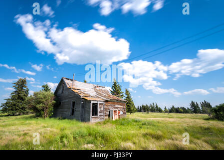 Alten, verlassenen prairie Bauernhaus durch Bäume, hohes Gras und blauer Himmel in Saskatchewan, Kanada umgeben Stockfoto