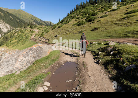 Altyn-Arashan, Kirgisistan, 14. August 2018: ein Reiter reitet einsam auf einem Weg im Tal des Altyn-Arashan in Kirgisistan Stockfoto