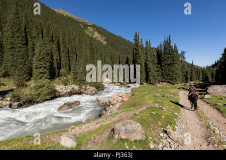 Altyn-Arashan, Kirgisistan, 14. August 2018: ein Reiter reitet einsam auf einem Weg im Tal des Altyn-Arashan in Kirgisistan Stockfoto