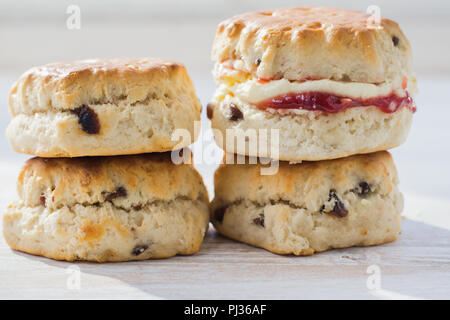 Nahaufnahme von vier Scones mit Marmelade und Sahne, auf den Teller, auf dem weißen Holztisch, selektiver Fokus kopieren Platz für Text Stockfoto