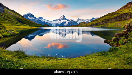Wetterhorn und Wellhorn Spitzen in Wasser Oberfläche der Bachsee Sees spiegelte. Farbenfrohe Sommer Sonnenaufgang in Berner Oberland Alpen, Innertkirchen, Schweiz Stockfoto