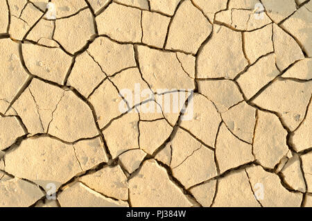 PATCH VON LAND VON TROCKENEN gelben Farbton Stockfoto